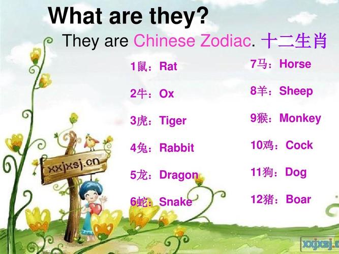 英文讲解中国12生肖