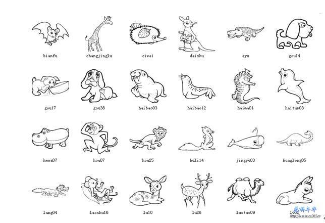 动物英语卡片简笔画