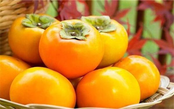 柿子和什么不能一起吃柿子不能和什么食物一起吃蟹致胃柿石