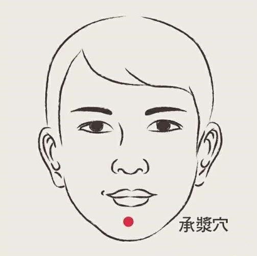 承浆穴位于面部,颏唇沟的正中凹陷处,经常按摩有利于促进面部血液循环