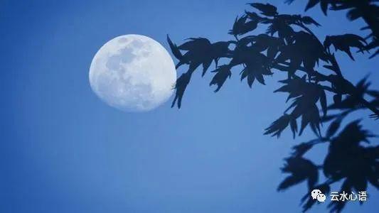 孟浩然月下赋诗,描绘了一幅孤清月夜图,文思跳跃,情感深沉