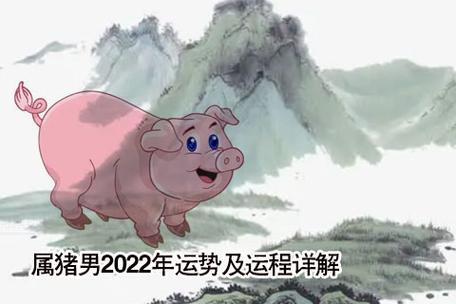 2023年属猪人的全年运势男性_2023年生肖运势_祥安阁风水网