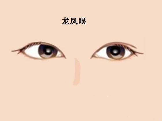 另一只眼睛为双眼皮的面相被人们称为龙凤眼面相