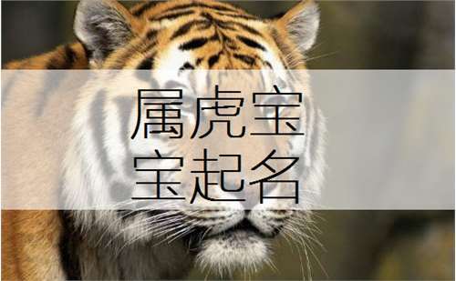 新版的姓梁属虎男宝宝名字案例集锦:2023是十二生肖排在第三位的虎年