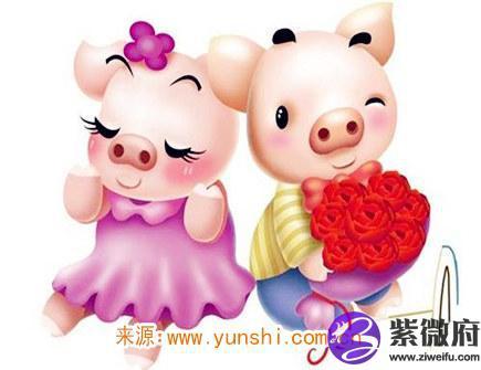 属猪人一生有几次婚姻属猪人对婚姻的态度