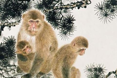 属猴的几月出生最好命生肖猴不同月份的命运