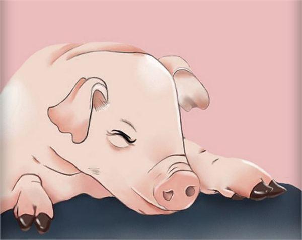 2023年属猪的几月出生命最好,猪年宝宝几月出生好