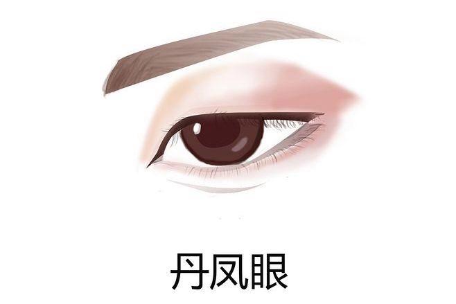 p>丹凤眼是凤眼的一种,严格来说应该是细长的,细而不小,眼尾平滑略微
