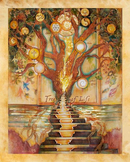 塔罗与生命之树的转化之旅-若道占星