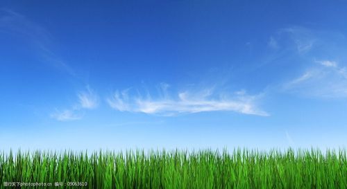 关键词:蓝天牧场 蓝天 牧场 青草 绿地 天空 摄影 自然风光 自然景观