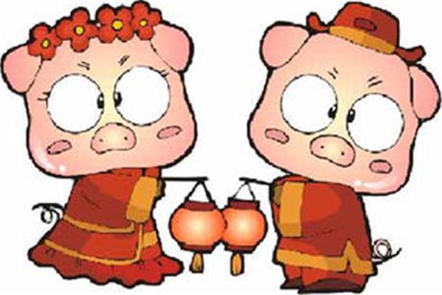 95年属猪的婚配和什么属相最好 生肖属猪的人,与生肖牛比较相配