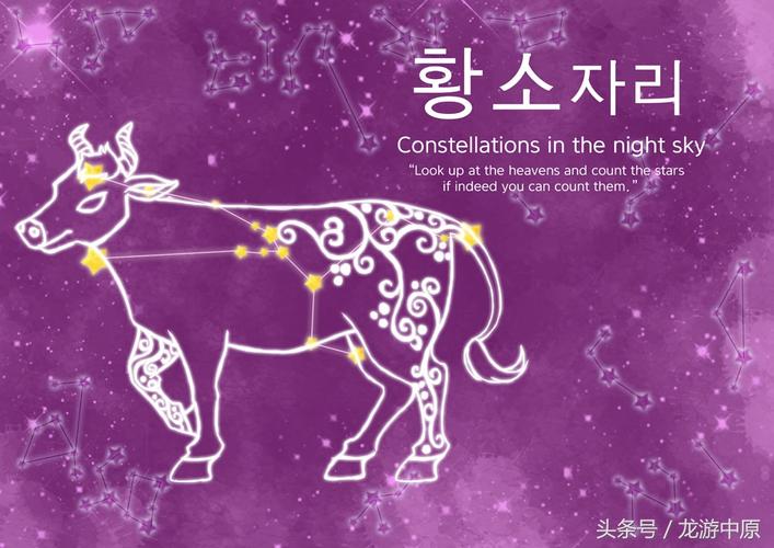 生肖 星座——解析属牛的金牛座
