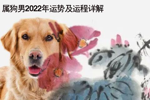 属狗男2024年运势及运程详解2024年属狗人的全年运势男性