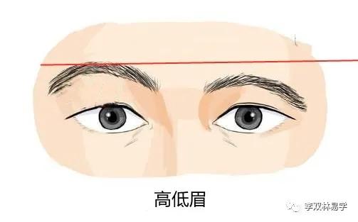 不在同一水平线上,这样的眉形在面相学中被称为高低眉