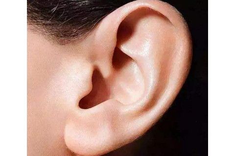 耳朵小的男人面相男生耳朵小代表什么