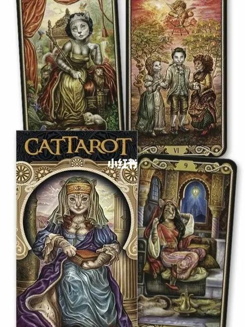 第一张图是古典猫塔罗(很吸引我的是里面人物有猫脸,而且牌背是