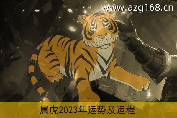 属虎2023年运势及运程详解 2023年属虎人的全年每月运势_祥安阁风水网