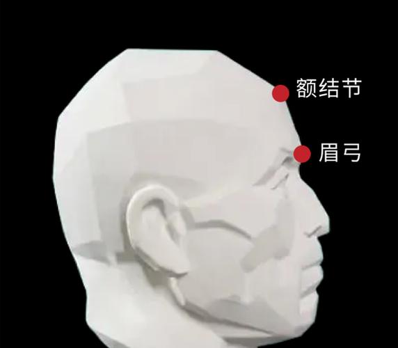 额结节在正面靠上的左右两侧,是一个微微隆起的形态,是正侧额头的最高