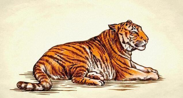 62年属虎的今年多大岁数,62年出生,到今年多大