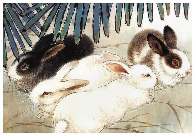 生肖兔的性格 1975年属兔男的性格和脾气及爱情观
