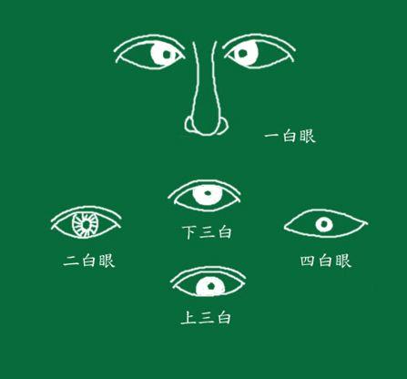 【面相馆】眼睛的类型(三白眼,四白眼,三角眼,车轮眼,火