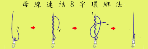 母线及子线连结8字环绑法 x1 [4 楼]                       from