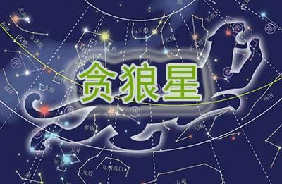 紫微斗数十四主星:贪狼星研究—【财理财】