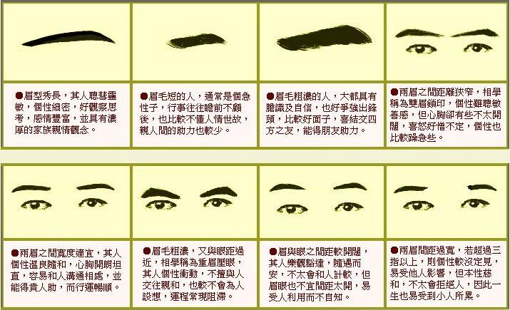 眉毛在面相当中的重要性可以分辨出一个人的智商