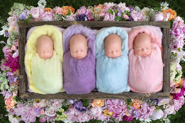 罕见的同卵四胞胎新生儿照片