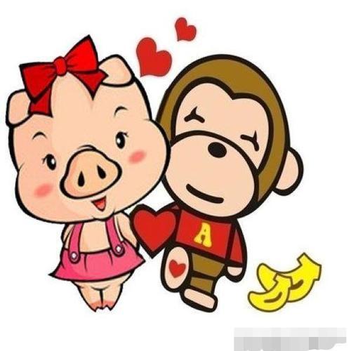 属猴女和属猪男的适合做夫妻吗
