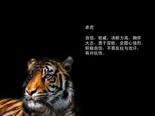 老虎 自信,权威,决断力高,胸怀 大志,勇于冒险,企图心强烈, 积极自信