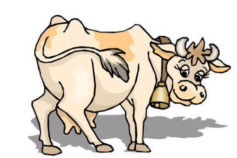 1961年属牛的人2023年运程1961年60岁的生肖牛2023年运势