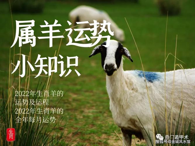 十二生肖 | 2024年生肖羊的运势及运程-2024年生肖羊的全年每月运势