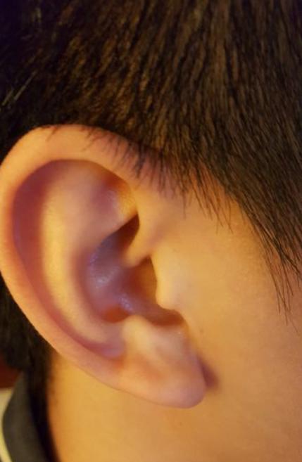 耳朵在面相学中掌管的是右耳1-7岁的运势,左耳管的是8-16岁;耳朵是