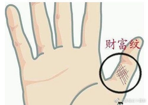 凤眼纹,手相的一种,出现在拇指,在拇指有一个完全的圆圈.