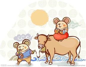 老鼠站在牛背上的简笔画