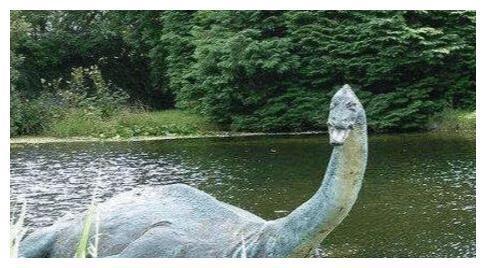 像是在水里游泳的大蜥蜴,青海湖水怪不是