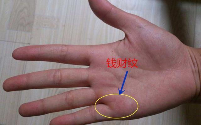 横财运旺的手相特征:健康线明显一条横财纹清晰手相中出现的横财纹