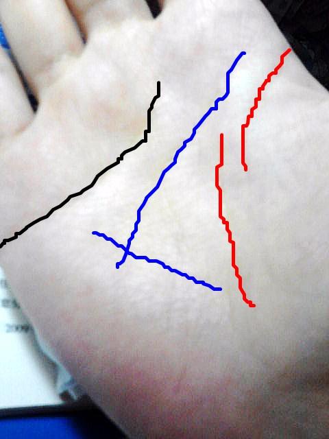 我的手纹生命线中间断了而且两条线的距离还是很大