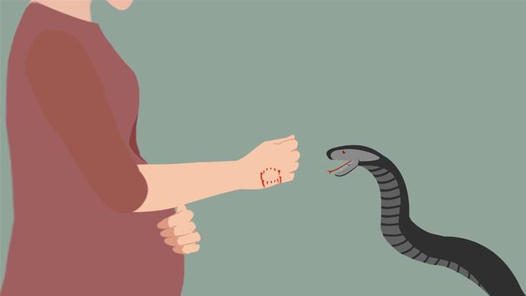 孕妇梦见蛇咬自己是好的预兆.