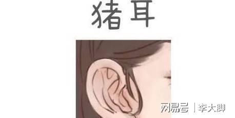 加上这耳朵轮廓也不明显,在相学上,这种耳相就是