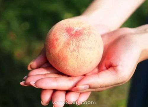 孕妇梦见吃桃子是什么意思预兆 - 原版周公解梦大全