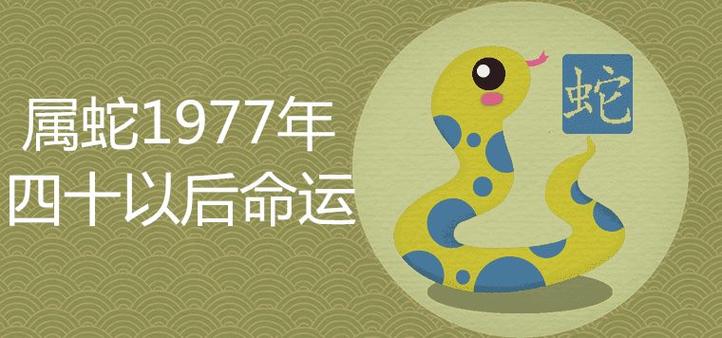 所以1977年出生的属蛇人的一生就像其性格一样明朗,特别是他们在40岁