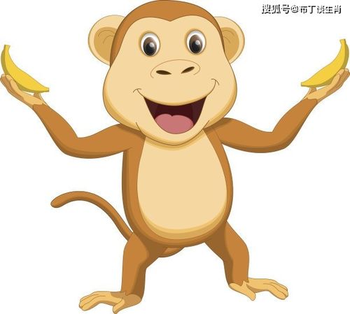 原创生肖猴:属猴人的最佳配偶,不离婚必大富大贵,幸福一生不分离!