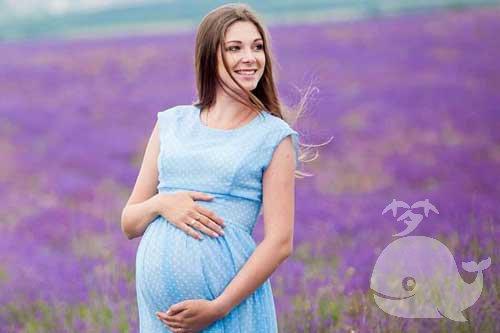 孕妇梦见别人怀孕了是什么意思孕妇梦见别人怀孕了,预示身边会有人将