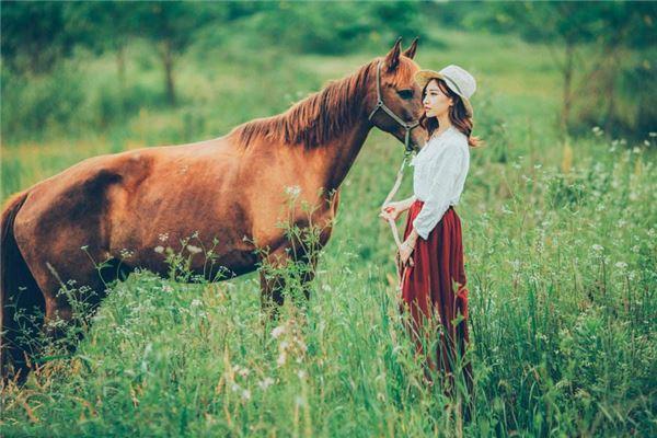 属马的适合哪种属相的女孩属马的女人跟什么属相最配