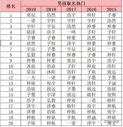2023年在深圳办理出生登记的人口中,家长为男孩子取名为  