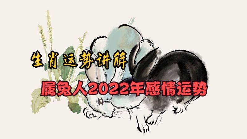 属兔年龄表2023年运势 属兔2023年的运势及运程