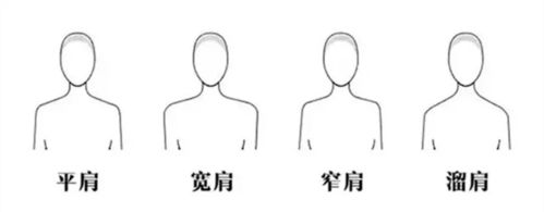 首先,我们的肩膀一般可以分为这几个类型.平肩,宽肩,窄肩和溜肩.