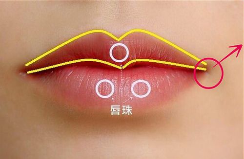 丰唇不难,通常在嘴唇内侧或唇线部分注射或填充一些填